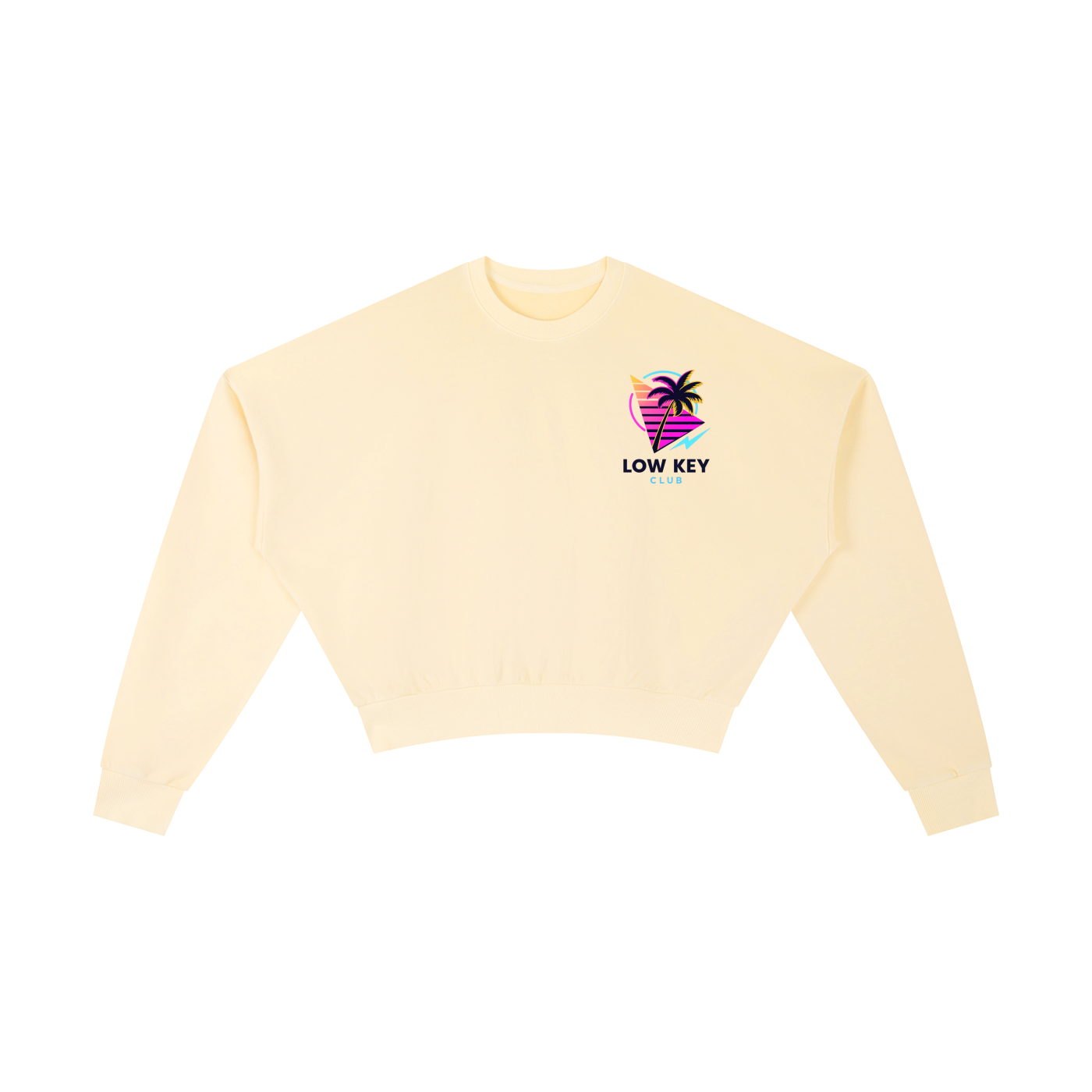 Retro Washed Cropped Sweatshirt